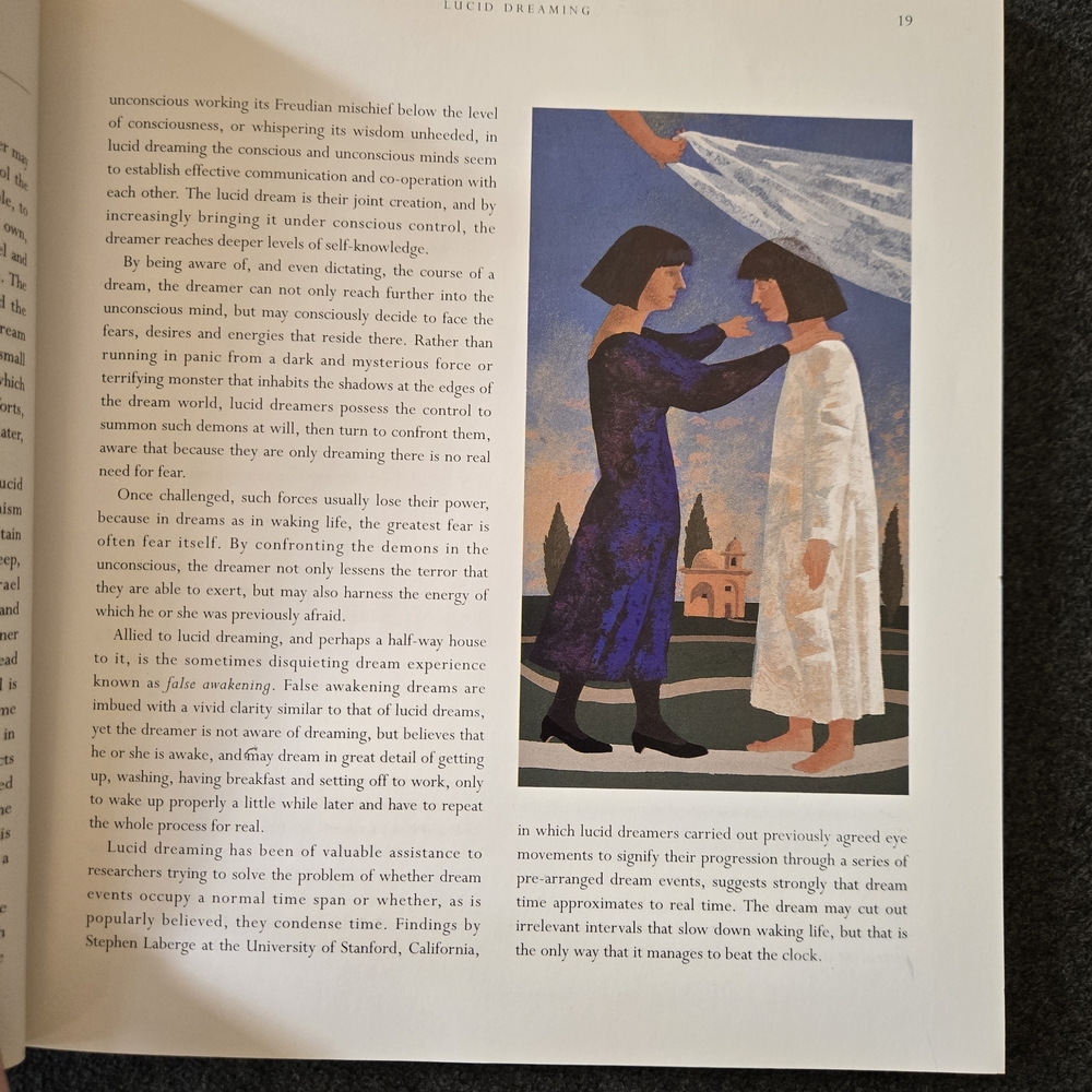 The Secret Language of Dreams Softcover Book - Picture 4 of 12